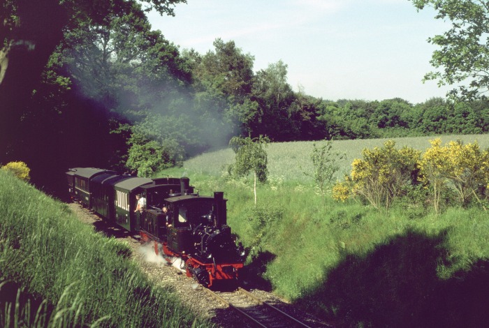 FRANZBURG + HERMANN Durchfahrt am Haltepunkt Vilser&nbsp;Holz, um 16:27h am 29.05.2004