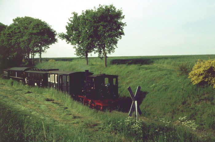 FRANZBURG&nbsp;Tv kommt abwärts gefahren mit dem leeren Zug aus &bdquo;Orpheus- Express&ldquo; kurz vorm Vilser&nbsp;Holz, um 8:15h am 30.05.2004
