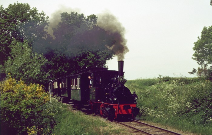 FRANZBURG mit P&nbsp;463 vor Heiligenberg, am 30.05.2004