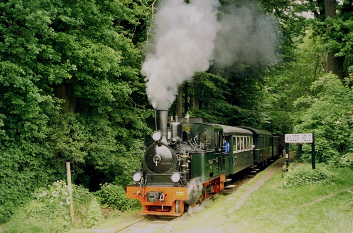 SPRREWALD mit Zug P&nbsp;105 am Hp&nbsp;Vilser&nbsp;Holz, am 04.06.2006