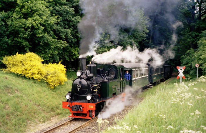 SPREEWALD mit Zug P&nbsp;105 Abfahrt Haltepunkt Vilser&nbsp;Holz, um 11:36h am 04.06.2006