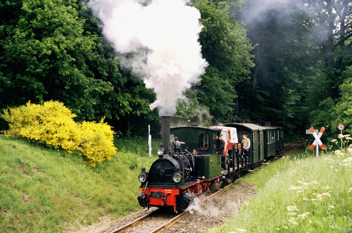 Lok FRANZBURG mit GmP&nbsp;411 Abfahrt am Haltepunkt Vilser&nbsp;Holz, um 11:57h am 04.06.2006