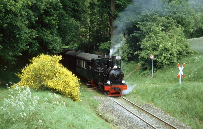 SPREEWALD mit P&nbsp;107 Abfahrt am Haltepunkt Vilser&nbsp;Holz, um 14:23h am 04.06.2006