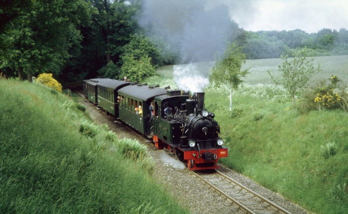 SPREEWALD mit P&nbsp;109 Durchfahrt Hp&nbsp;Vilser&nbsp;Holz, am 05.06.2006