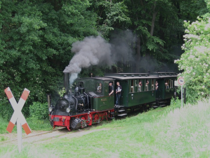 FRANZBURG mit Zug&nbsp;441 einrollend Vilser&nbsp;Holz, am 27.05.2007