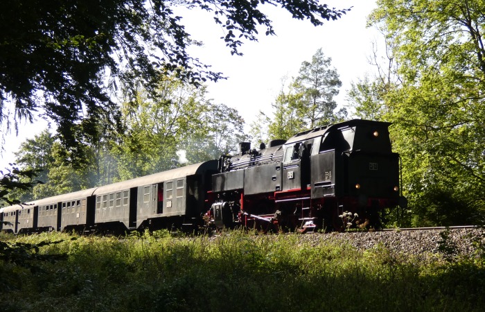 BB&nbsp;262&nbsp;Tv mit Zug von Blumberg abwärts nach Weizen, unterhalb von Grimmelshofen im Wald, um 10:57h am 25.09.2021