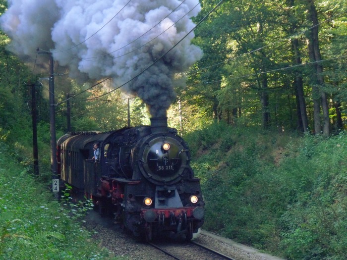 58&nbsp;311 UEF-Zug von Ettlingen nach Ittersbach, kurz vorm Bf Reichenbach (bei km&nbsp;2,4), um 11:20h am 25.09.2016