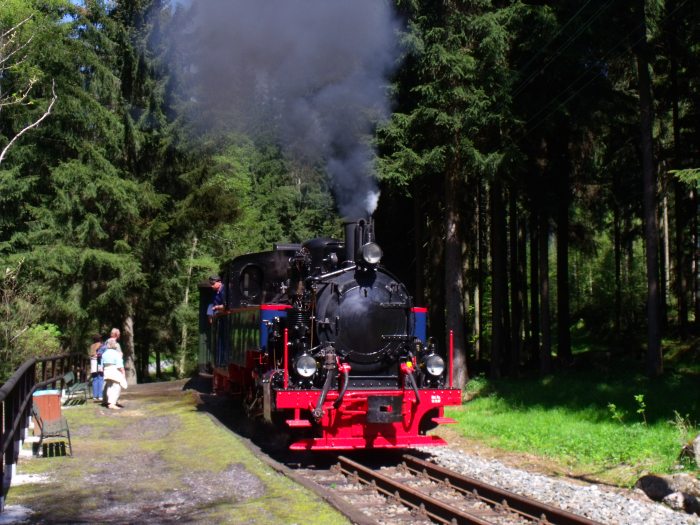 AQUARIUS&nbsp;C in voller Fahrt (leider ohne Halt) mit Zug&nbsp;51 am Haltepunkt Loreleifelsen, um 15:02h am 19.05.2013