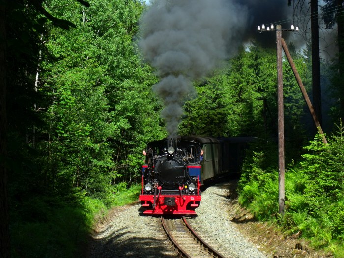 AQUARIUS&nbsp;C mit Zug&nbsp;51 (der kurze Pendelzug Schmalzgrube-Jöhstadt) auf der Preßnitztalbahn in der engen Kurve im Tal zwischen Schmalzgrube und Schlössel bei Km&nbsp;20,2, um 16:05h am 08.06.2014