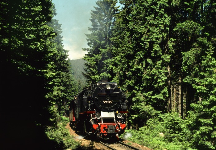 99&nbsp;222 mit Zug&nbsp;8941 am Eckerloch, am 02.06.2000