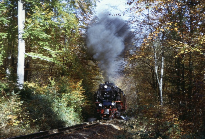 99&nbsp;222 mit 8925 am Drängetal, am 31.10.2005