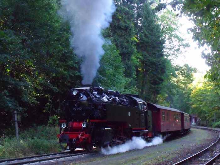 99&nbsp;222 mit 8925 am Drängetal, am 31.10.2005