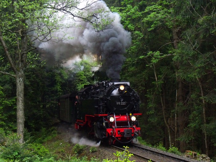 99&nbsp;222 mit dem HSB-Traditionszug zum Brocken (Nr.8991), fotografiert im Wald etwa 1km hinter dem Bahnhof Schierke, um 12:39h am 03.06.2015