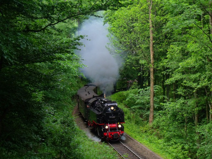 99&nbsp;222 mit dem HSB-Traditionszug zum Brocken, hinter der Ausfahrt von Steinerne&nbsp;Renne, um 11:05h am 06.06.2015