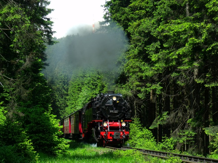 99&nbsp;222 mit Nordhäuser Zug&nbsp;8920dem zum Brocken, an bestens bekanntem Ort, nämlich kurz hinter dem Lichtsignal am Eckerloch, um 13:24h am 08.06.2016