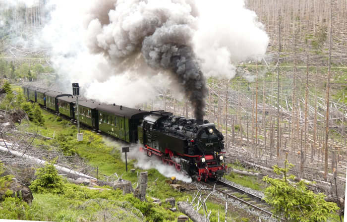 99&nbsp;222 mit Traditionszug der HSB NR.&nbsp;8991 am Eckerloch, um 12:45h am 28.05.2022