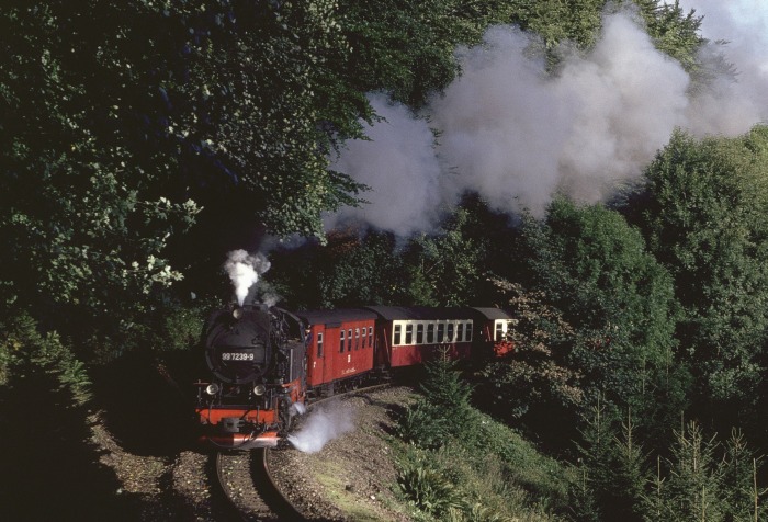 99&nbsp;7239 mit P&nbsp;14431 am Drängetal, am 29.08.1989