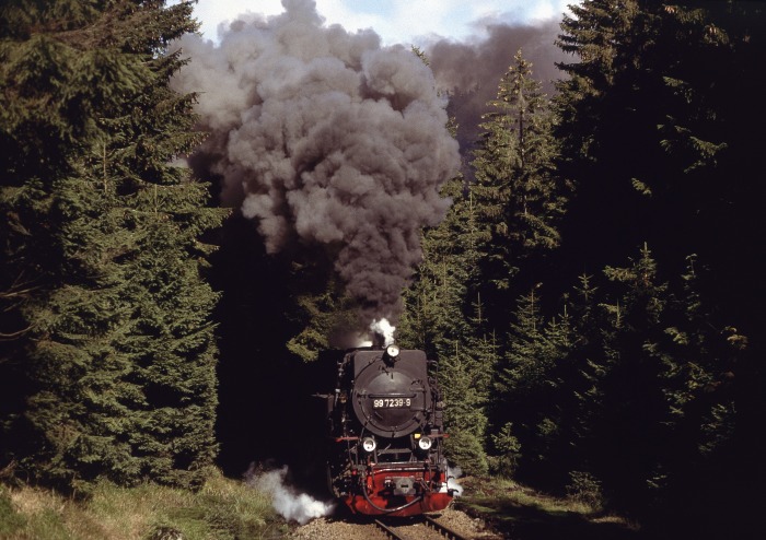 99&nbsp;7239 mit 8935 am Eckerloch, am 18.09.1993
