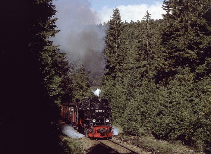 99&nbsp;7231 mit Zug&nbsp;8920 am Eckerloch, am 18.09.1993