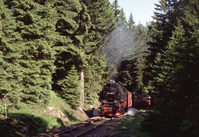 wird aufgenommen: 99&nbsp;7236 mit 8931 am Eckerloch, am 02.07.1994