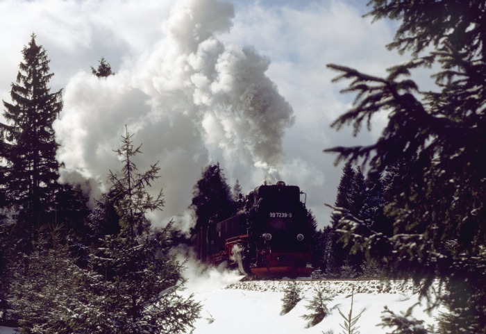 99&nbsp;7239 mit Zug&nbsp;8933 in den Kurven zwischen Drei Annen Hohne und dem ehemaligen Steinbruch vor Schierke, um 10:35h am 29.03.1996