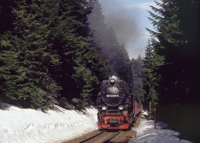 99&nbsp;7238 mit Zug&nbsp;8933 am Eckerloch, am 03.04.1999