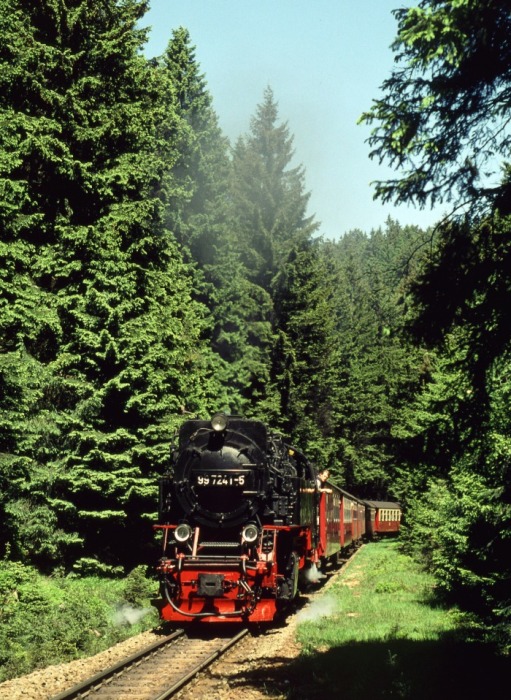 99&nbsp;7241 mit Zug&nbsp;8925 am Eckerloch, am 02.06.2000