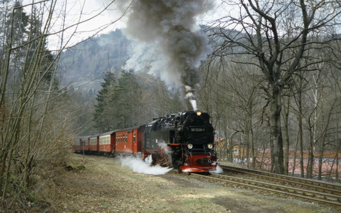 99&nbsp;7238 mit Zug&nbsp;8933 Abfahrt Steinerne&nbsp;Renne, am 06.04.2007