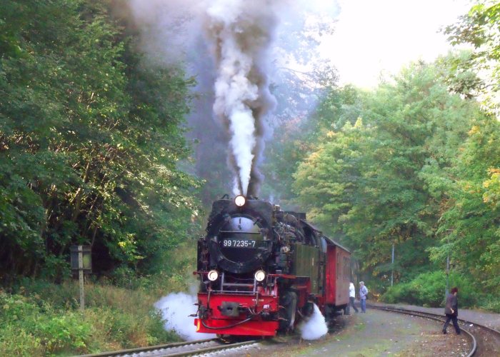 99&nbsp;7235 mit Zug&nbsp;8925 beim Halt in Steinerne&nbsp;Renne, um 10:49h am 30.09.2012