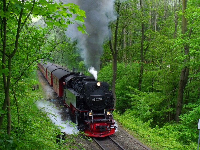 99&nbsp;7240 mit dem zweiten Brockenzug an diesem Tag, dem 8933, Ausfahrt Steinerne&nbsp;Renne, um 10:07h am 17.05.2014