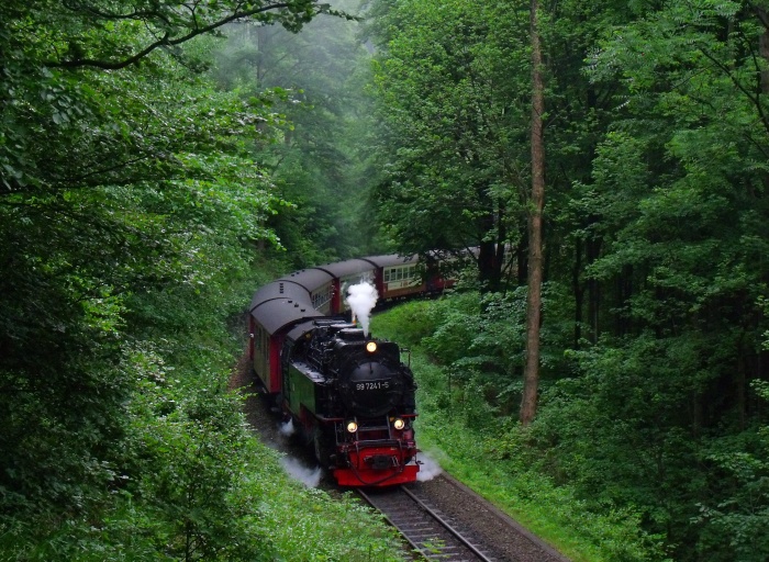 99&nbsp;7241 mit 8931 hinter Ausfahrt Steinerne&nbsp;Renne, um 9:21h am 06.06.2015