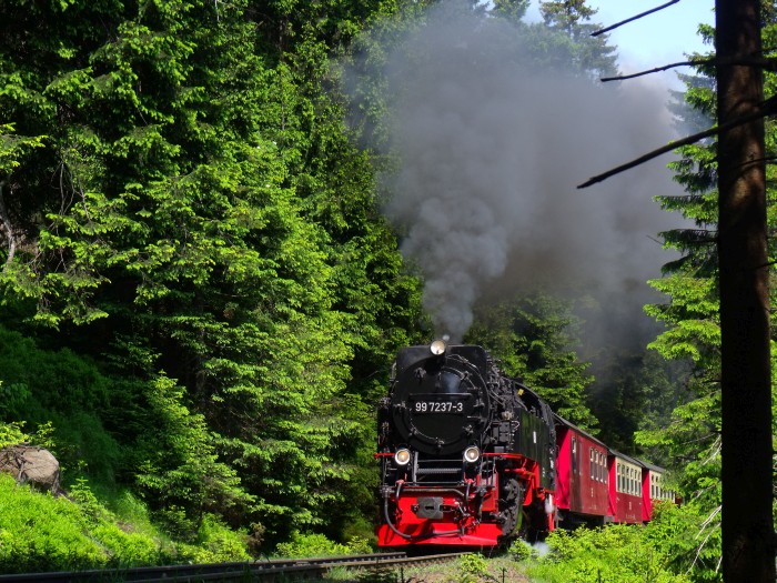 99&nbsp;7237 mit Zug&nbsp;8933, ebenfalls hinter der Eckerloch-Kurve, um 11:04h am 08.06.2016