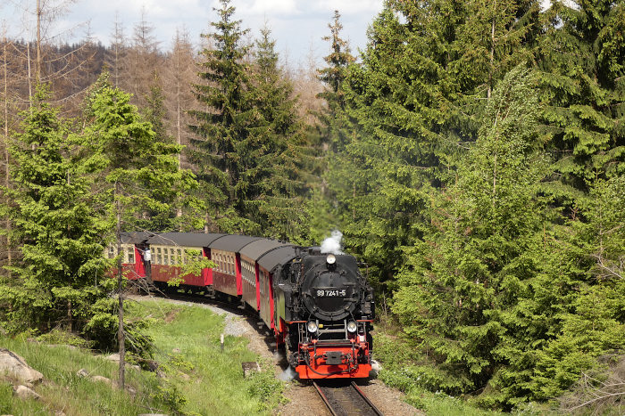 99&nbsp;8945 zum Brocken, fotografiert an einer der wenigen, dort oben noch verbliebenen grünen Baum-Inseln in den Kurven weit unterhalb von Schierke, um 16:06h am 27.05.2022