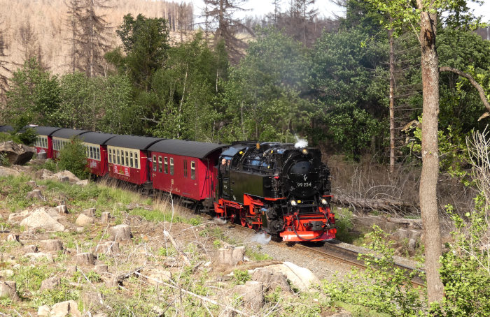 99&nbsp;234 mit Zug&nbsp;8941 (dem letzten Brockenzug an diesem Tag) in den Kurven weit unterhalb von Schierke, um 17:28h am 27.05.2022