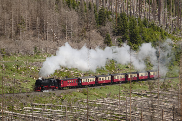 99&nbsp;???? mit Zug&nbsp;8927 im langen geraden Streckenabschnitt parallel am Wanderweg und vor der Eckerloch-Kurve, um 14:10h am 28.05.2022