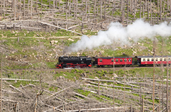 99&nbsp;7237 mit 8927 vor der Eckerloch-Kurve, um 14:10h am 28.05.2022