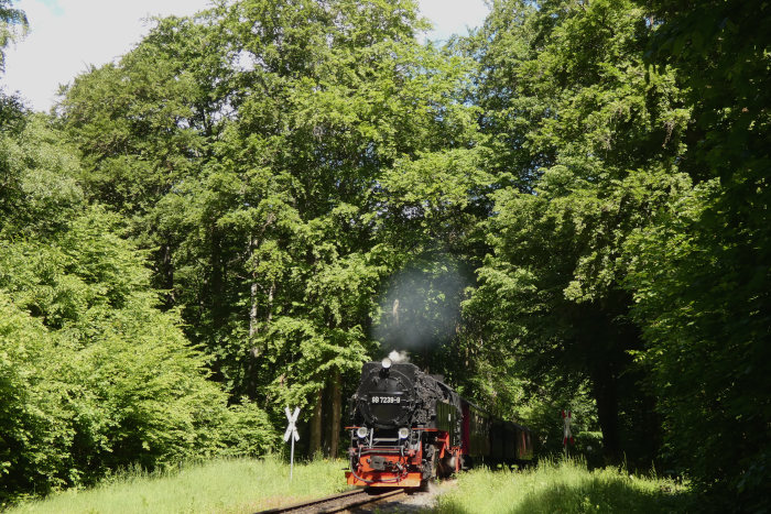 99&nbsp;7239 mit Zug&nbsp;8963 Richtung Alexisbad, am Waldweg-Bahnübergang direkt vor dem Haltepunkt Sternhaus-Ramberg, um 11:07h am 01.06.2022