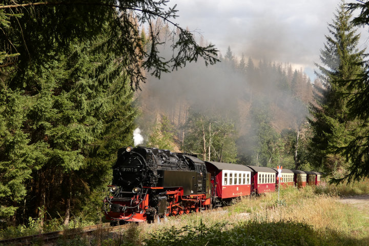 99&nbsp;7241 mit Zug&nbsp;8904 von Eisfelder Talmühle Richtung Wernigerode, im Tiefenbachtal um 14:20h am 01.09.2022