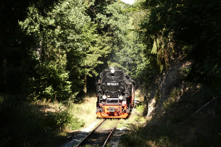 99&nbsp;7243 mit 8963 an der Einfahrt von Gernrode, um 10:46h am 02.09.2022