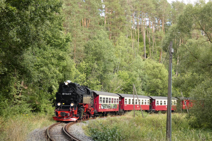99&nbsp;7243 mit 8966 nach Hasselfelde in der (ehemaligen) Fluor-Kurve hinter Straßberg, um 15:28h am 02.09.2022