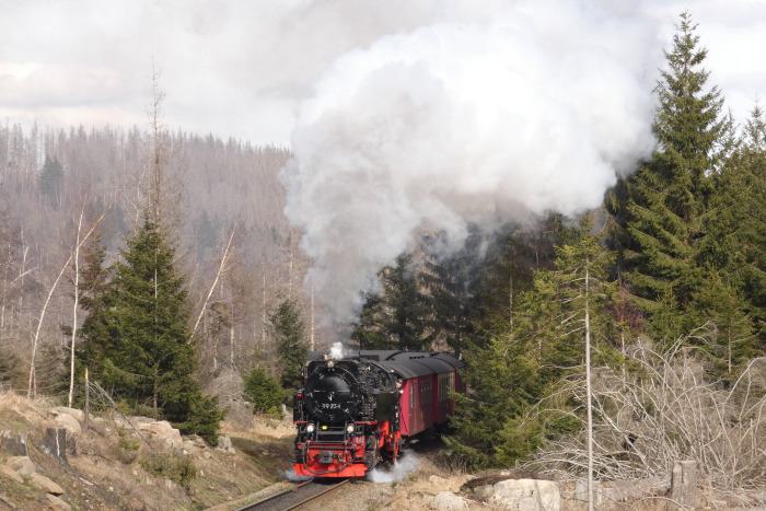 99&nbsp;234 mit Zug&nbsp;8923 weit unterhalb von Schierke hinter den Kurven kurz vor Ende der Steigung, um 15:19h am 04.04.2023