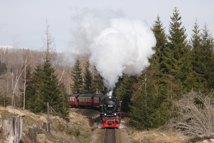 99&nbsp;236 mit Zug&nbsp;8945 weit unterhalb von Schierke hinter den Kurven kurz vor Ende der Steigung, um 16:03h am 04.04.2023