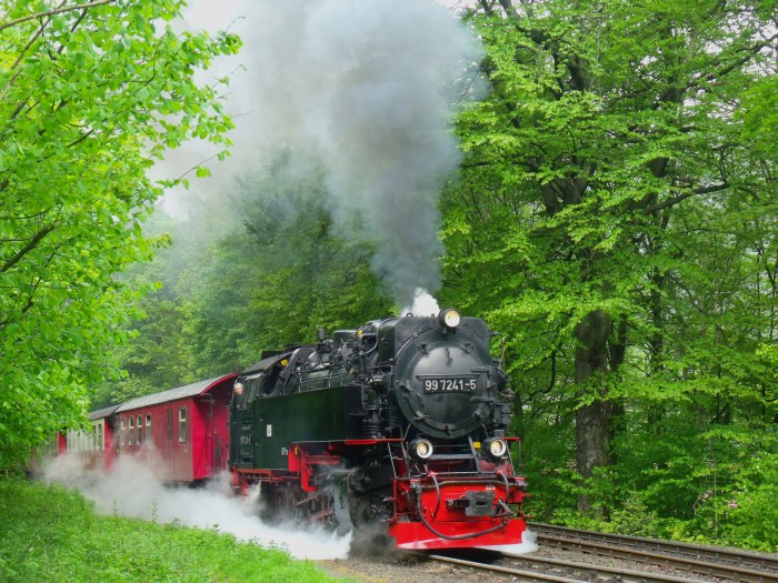 99&nbsp;7241 mit dem ersten Brockenzug&nbsp;8931, mal wieder schön laute Abfahrt in Steinerne&nbsp;Renne, um 9:23h am 17.05.2014