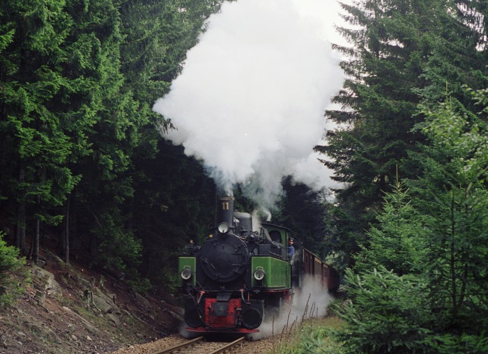 99&nbsp;5901 (noch als Nr.11) + 99&nbsp;6101 vermutlich sogar mit Planzug&nbsp;8937(?)  hinter Schierke, um 14:50h am 01.10.1995