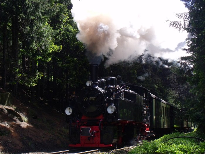 99&nbsp;5901 mit Traditionszug 8991 zum Brocken, dieses Mal an einem Mittwoch aufgenommen und fotografiert, nämlich etwa 1&nbsp;km hinter Schierke um 12:36h am 14.05.2014
