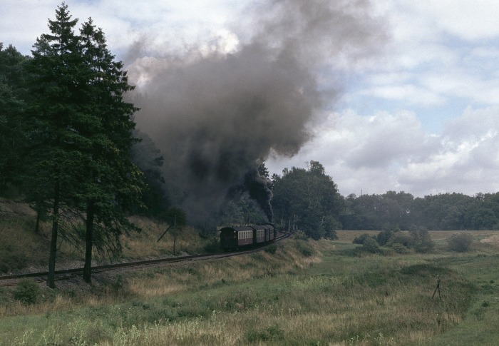 99&nbsp;6001 mit P&nbsp;14074 nach Harzgerode, am Bahnübergang der Fernstraße F242 (später natürlich B242...) zwischen Alexisbad und Harzgerode, um 14:12h am 29.08.1989