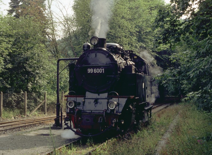 99&nbsp;6001 in Alexisbad, am 16.07.1999