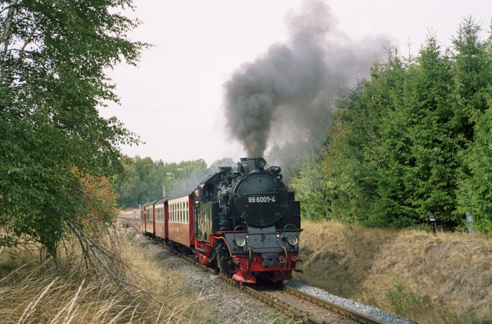 99&nbsp;6001 mit Sonderzug aus Gernrode zum Brocken, Ausfahrt Stiege, am 06.09.2003