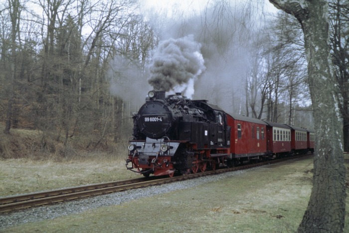 99&nbsp;6001 mit Zug&nbsp;8965 Durchfahrt Hp&nbsp;Sternhaus-Haferfeld, am 26.03.2005