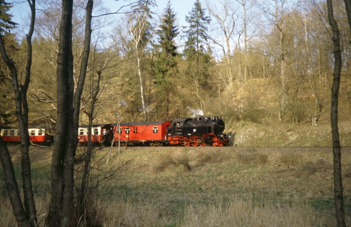 99&nbsp;6001 mit 8965 abwärts fahrend am südlichen Ramberg im Tal, am 07.04.2007